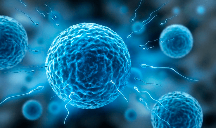 Атака живчиков.