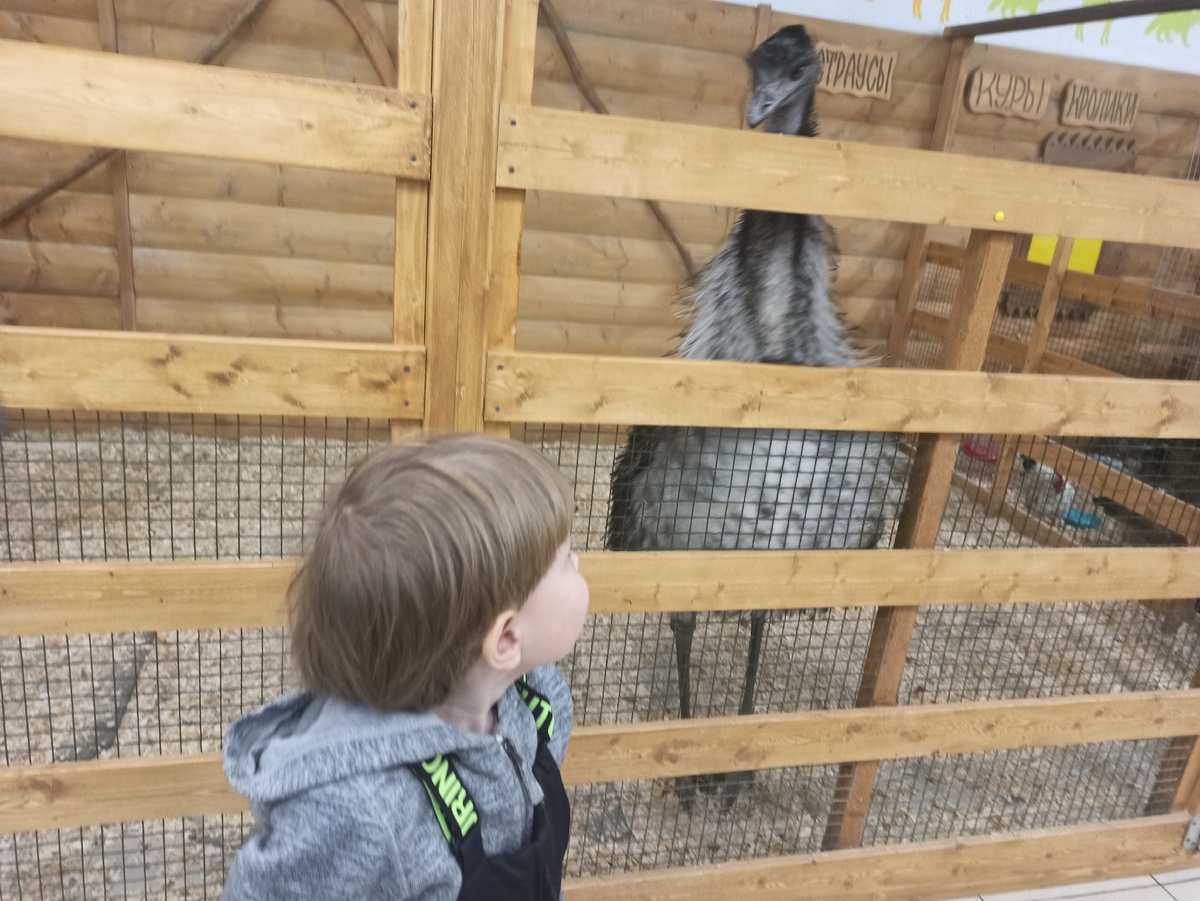 Дочка перепугалась и не стала даже близко подходить.