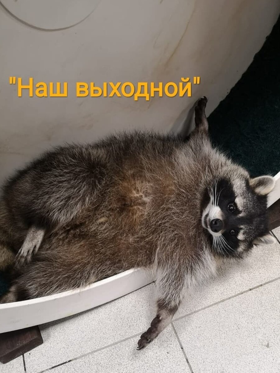 Фото из личного архива