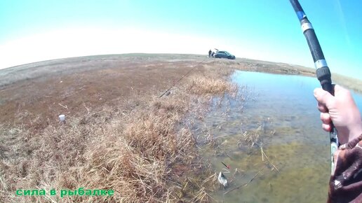 Рыбалка на Ахтубе в апреле, фото, видео