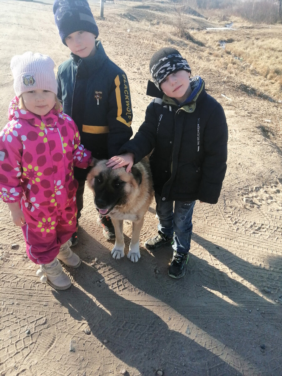 Ездим на источник за питьевой водой. К детям там привязалась эта добрая собака, которая потом бежала за нашей машиной... Поедем на выходные, надеюсь ещё её увидеть... Дети её постоянно вспоминают... 