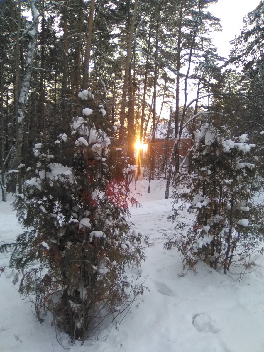 фото автора