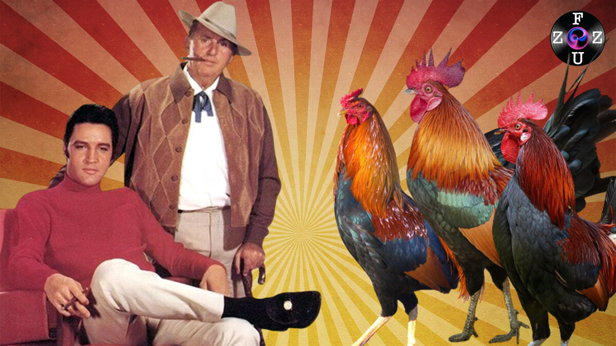 Элвис Пресли и Том Паркер и его танцующие цыплята