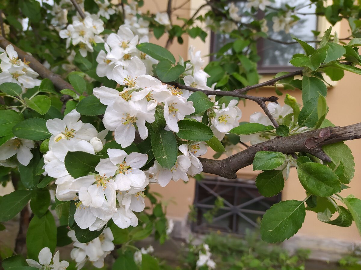 Фото весна 2021