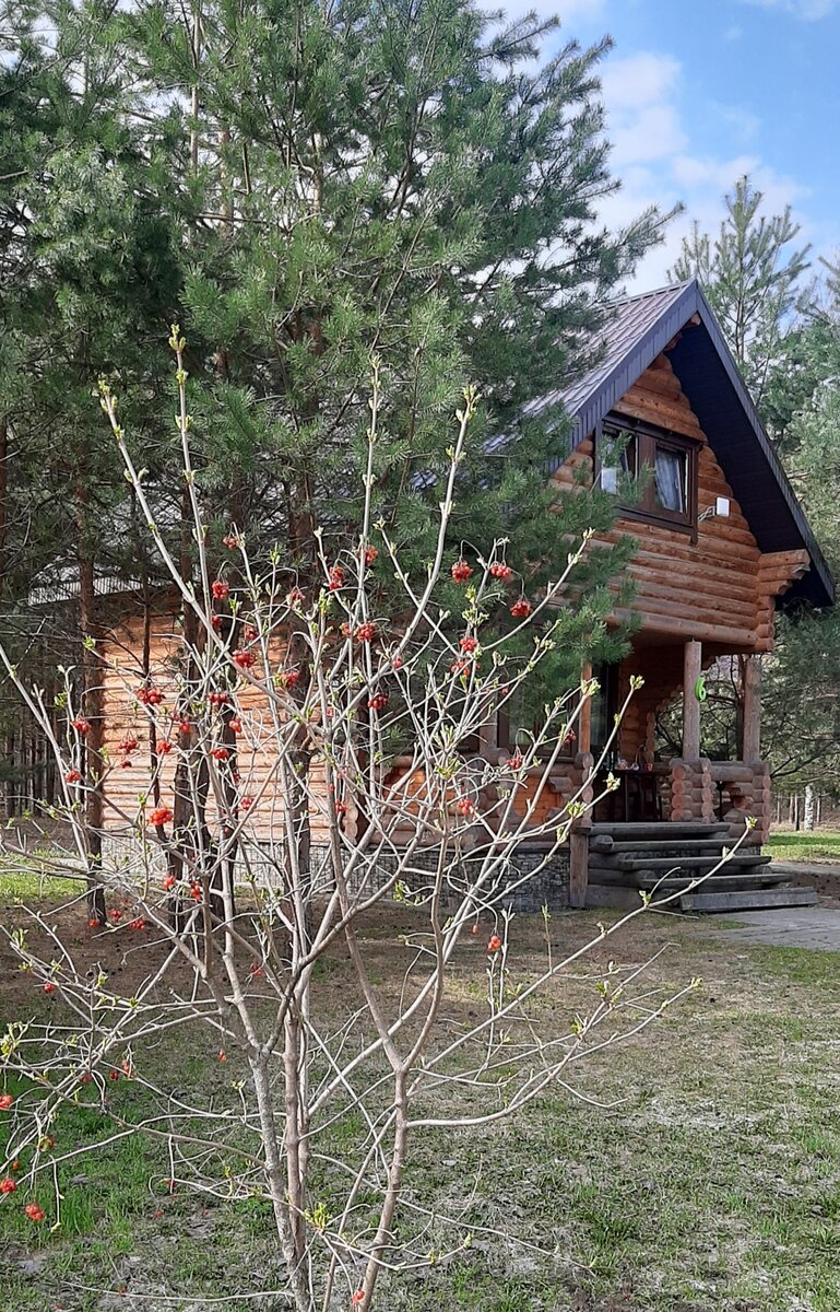 Деревянный домик. Фото автора