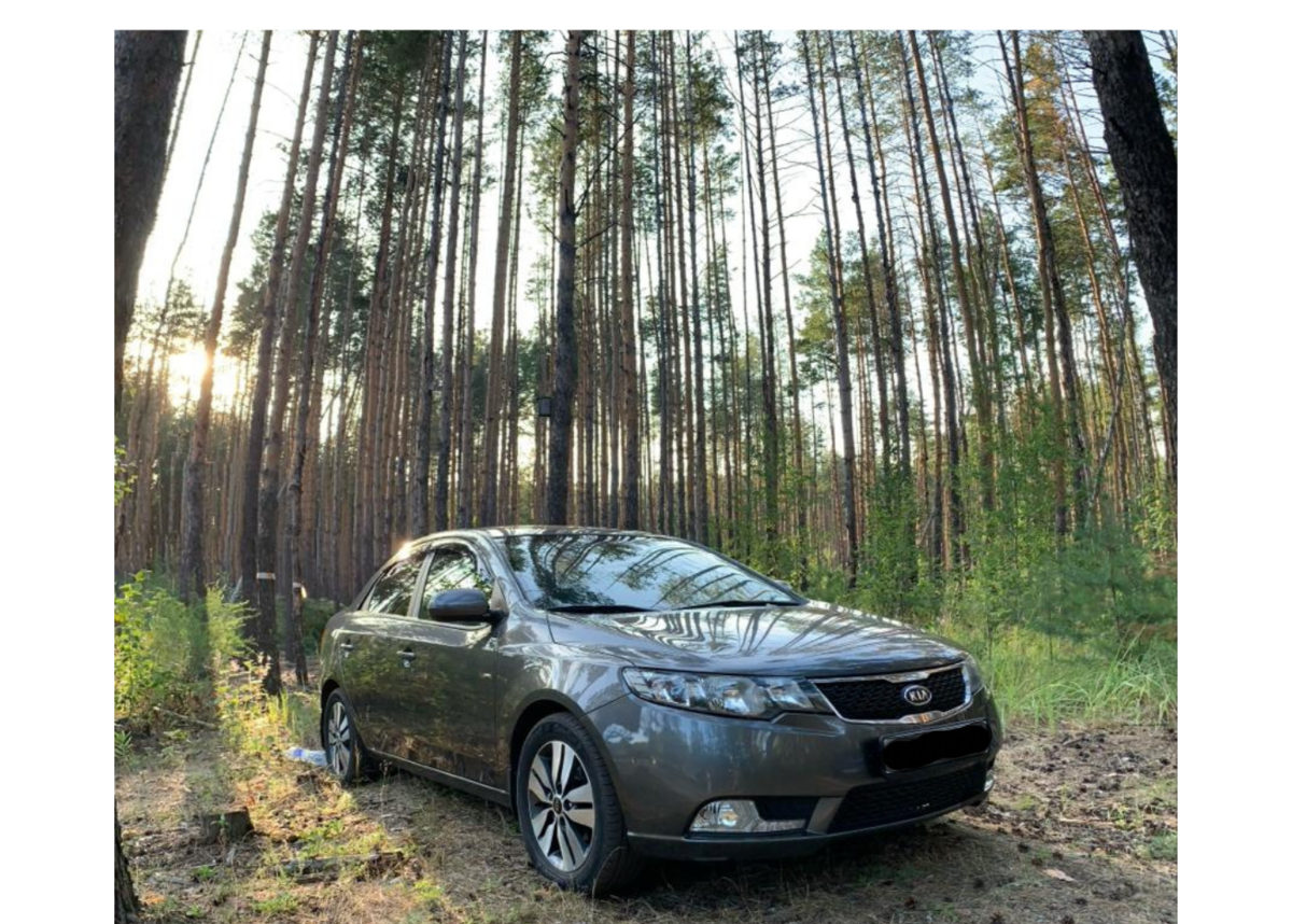 Церато - Форте ?