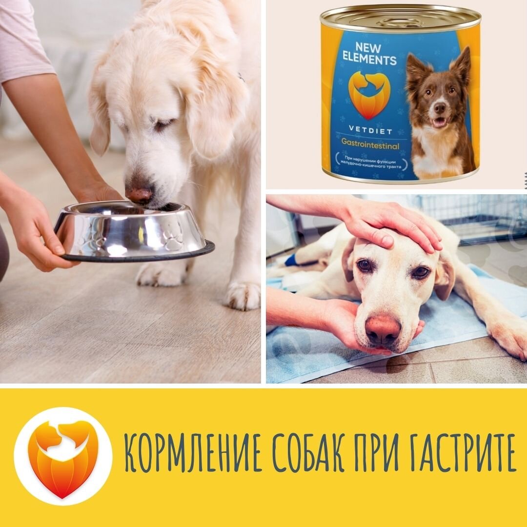 Подпишись в нашу группу и получай полезную информацию ежедневно.
