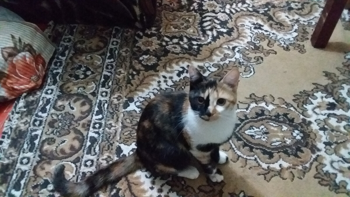 Маня уже почти взрослая)))