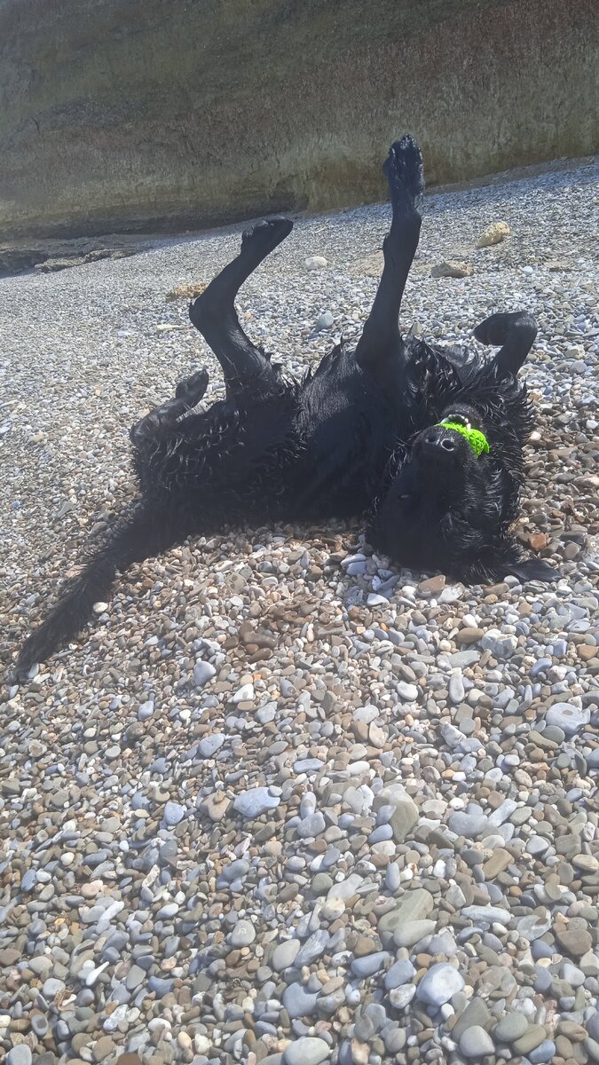 Это я радуюсь мячикоспасению. 