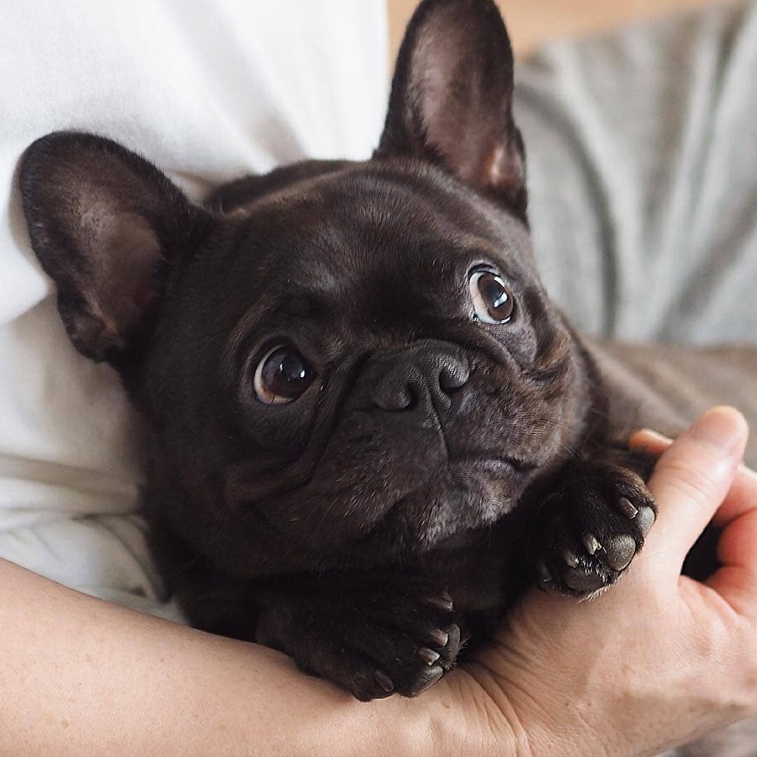 Олег на ручках.