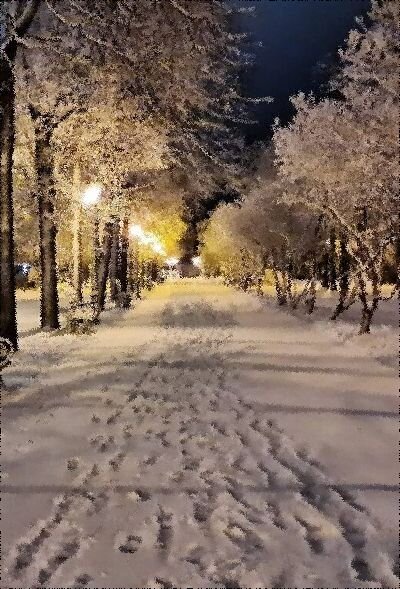 Фото из открытых источников