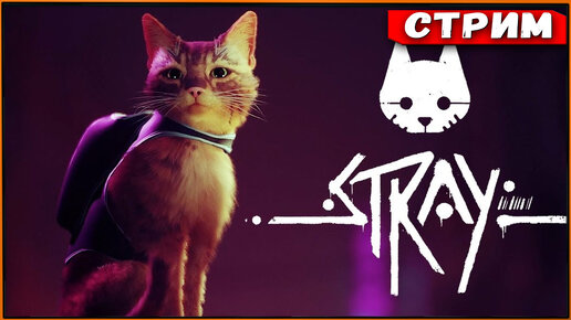 Stray - в деле усы, лапы и хвост! [Стрим] [2k]