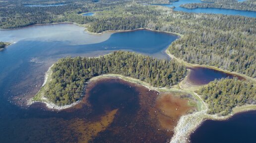 Вид на Соловецкий залив, Филипповские садки и остров Зосимы — Белое море, Большой Соловецкий остров