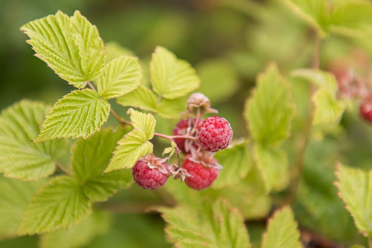 Фото: ИД «Волгоградская правда» / архив