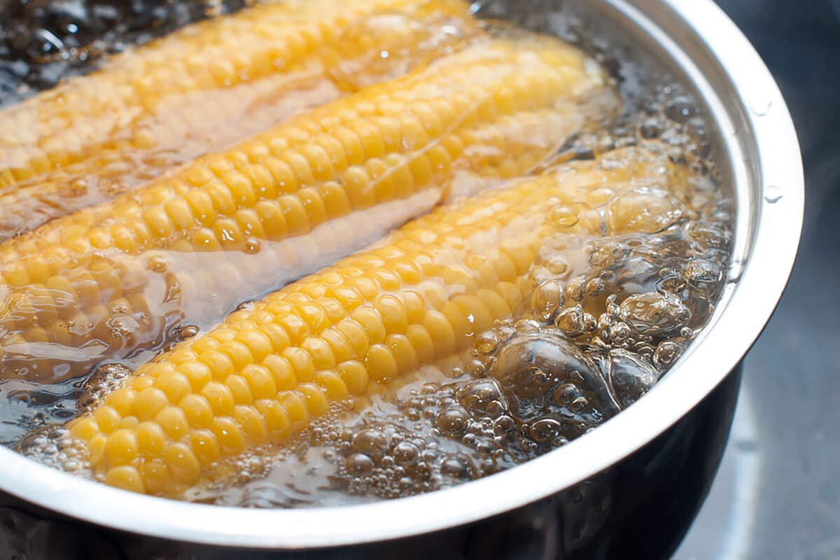 Вот и поспела своя кукуруза, а кто не любит полакомится теплой с выразительным ароматом, початком! В этой статье мы расскажем простой и очень полезный рецепт, как сварить сочную кукурузу.