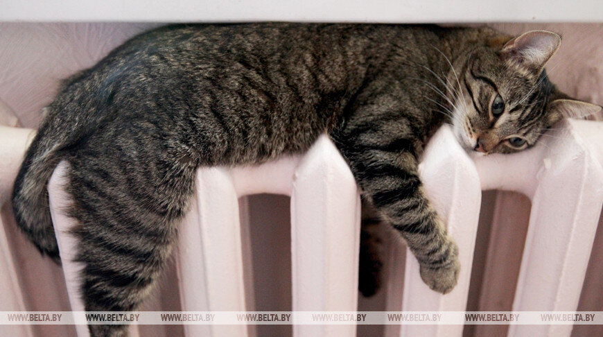    Фото из архива