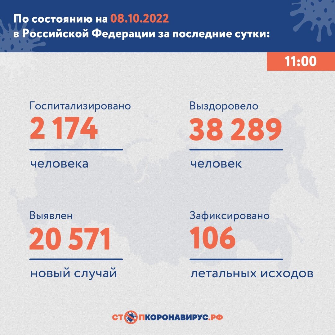   
 Фото: «Стопкоронавирус.рф»