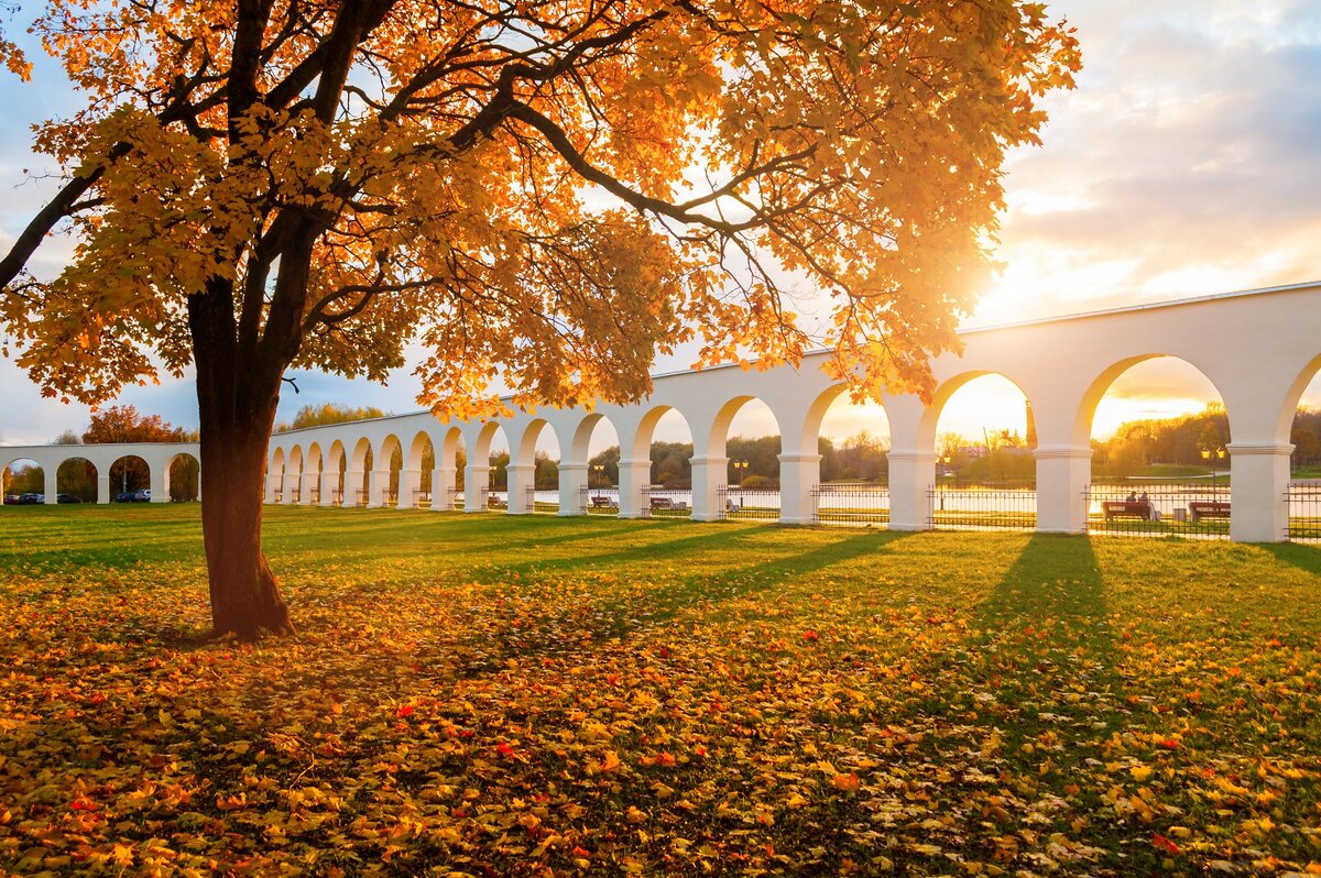 Фото: Marina Zezelina / Shutterstock