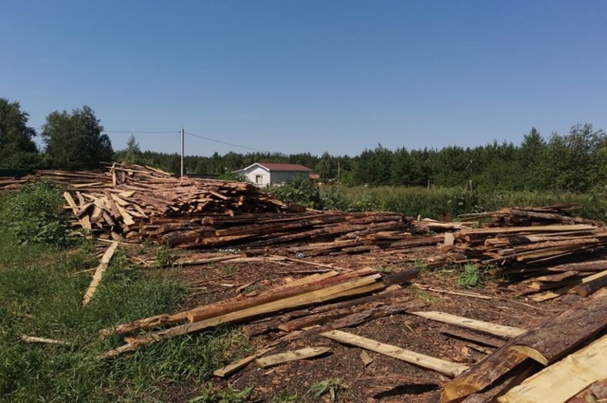    Под Воронежем у нелегальной лесопилки устроили пожароопасные свалки