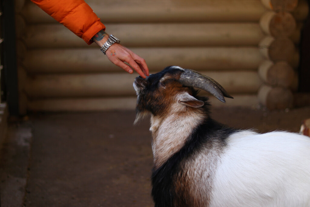 Фото: Мария Казакова