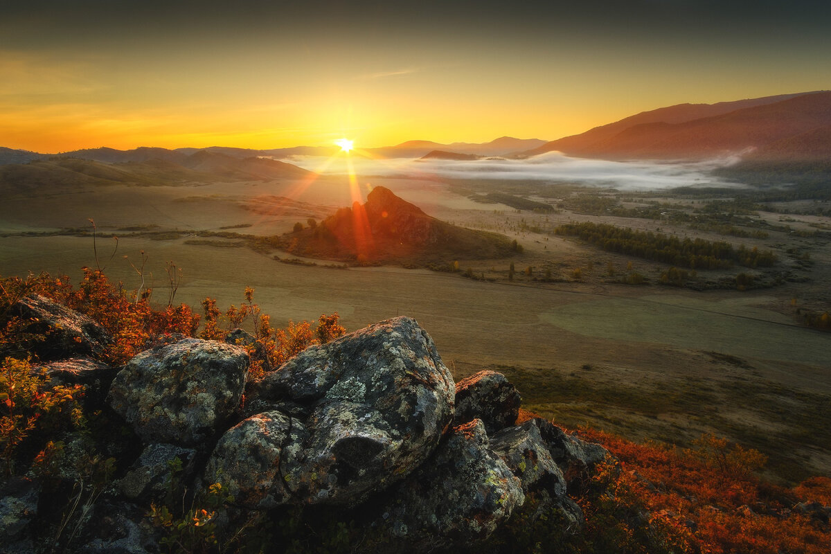 изображение взято из интернета