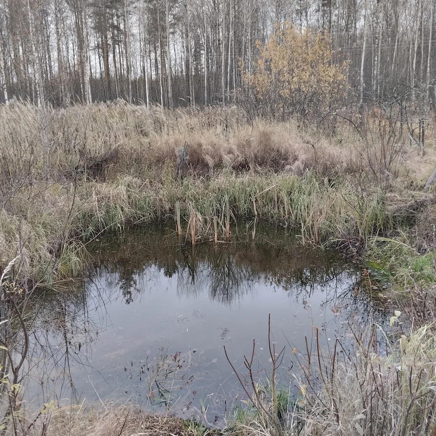 Пруд еще не замерз