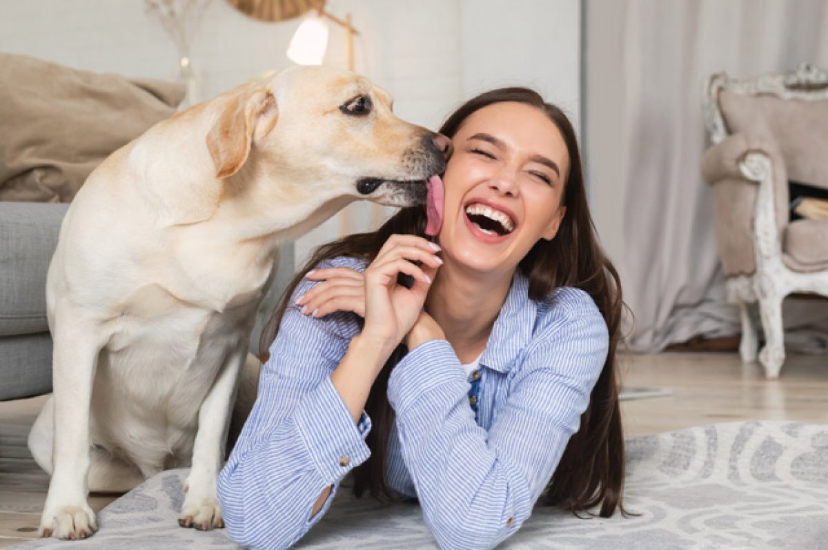    Смертельный «поцелуй» друга. Слюна собак может вызывать сепсис и убивать?