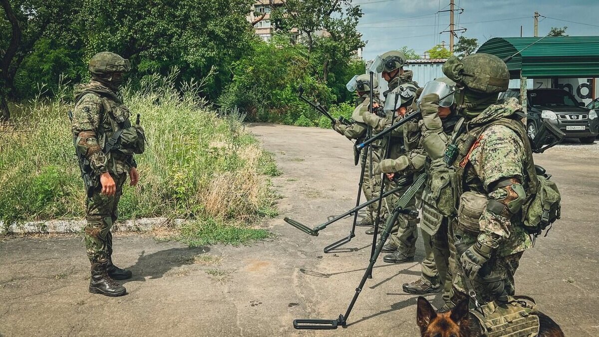     На протяжении нескольких дней в социальных сетях и мессенджерах гуляет сообщение о пристройстве трехмесячной собачки, которую привезли приморские военные из Украины. Собаку-воеваку — такое прозвище дали ей добрые люди, хотят пристроить в добрые руки.