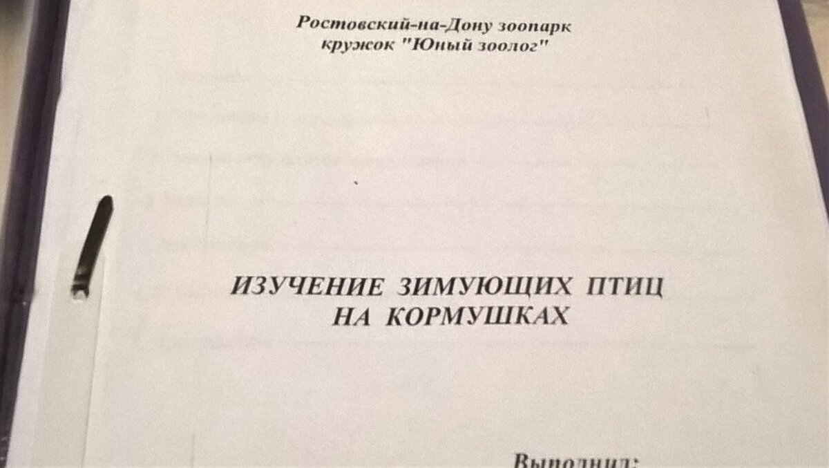 Исследовательская работа сына