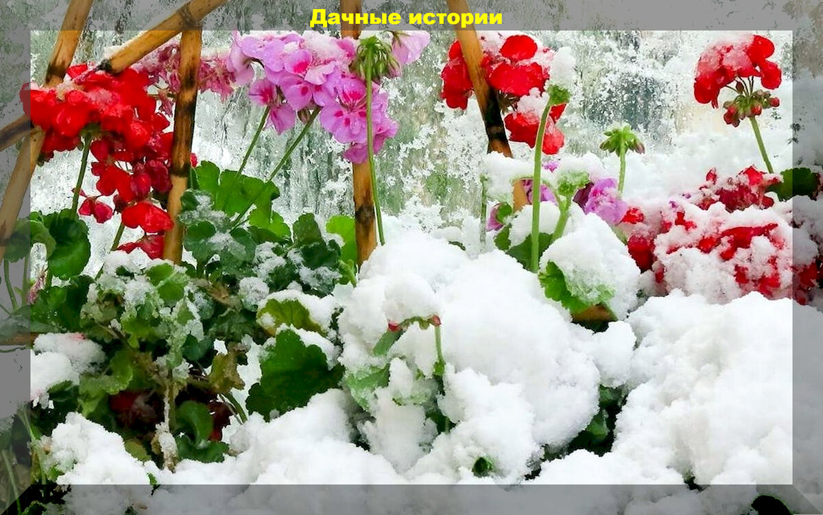 https://vk.com/photo-159774511_457256974