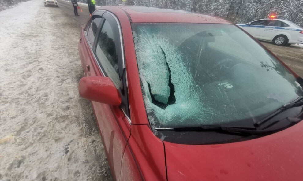    В Ноябрьске пьяный водитель при попытке скрыться сбил инспектора ГИБДД