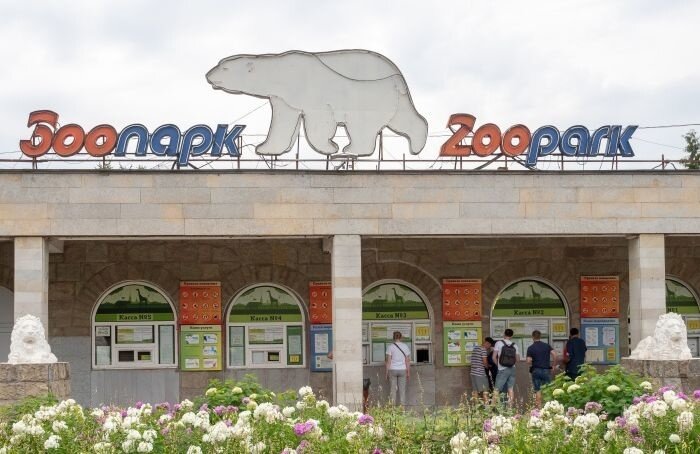    Олег Золото / MR7