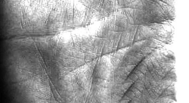 Линия головы и сердца. Линия интуиции на левой руке. Линия судьбы на руке. Линия жизни и линия ума. Значение линии ума.