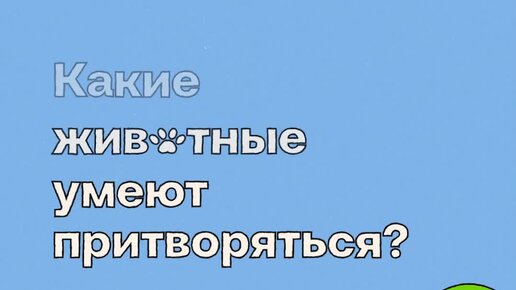Притворяется что не умеет играть. Притворяется что не умеет играть
