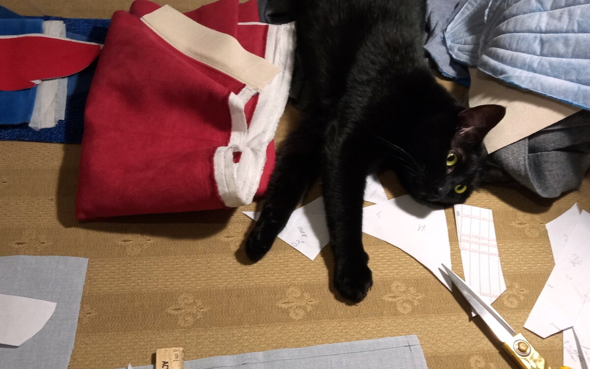 Без кота вот никак!