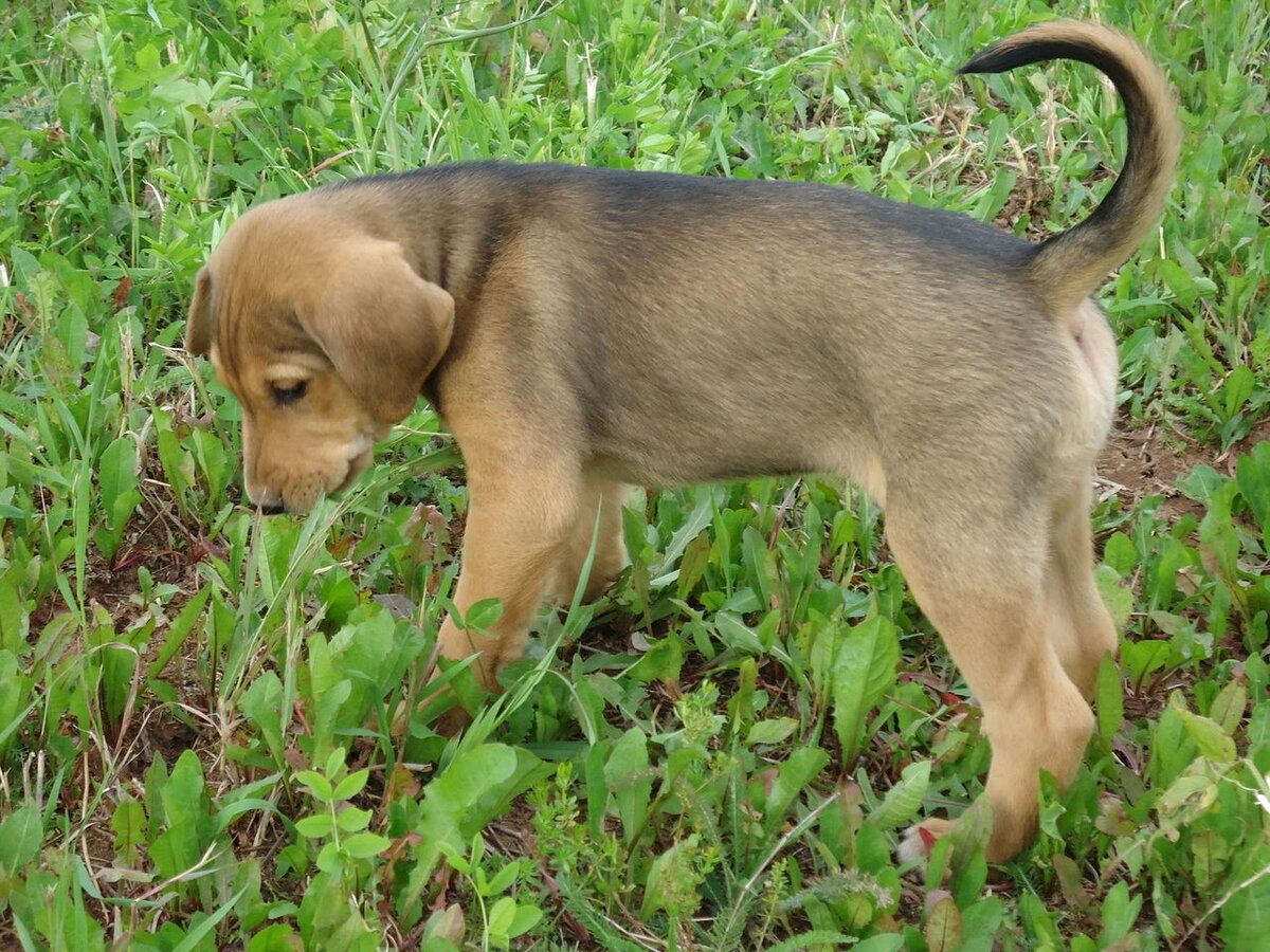 Фото с guns.allzip.org для примера