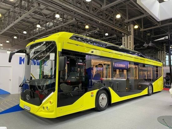     Саратовская область вошла в число 10 пилотных регионов страны по развитию электротранспорта Фото: правительство Саратовской области