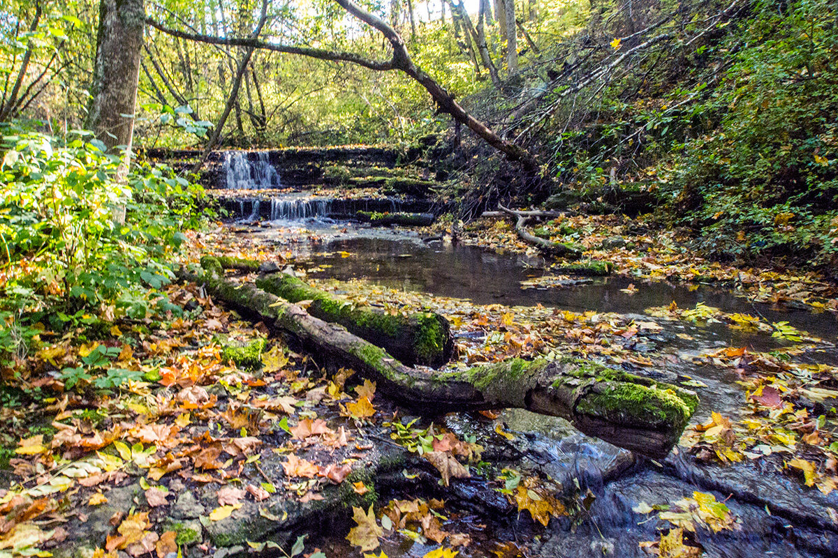 Трамвай 24 москва. Копорский глинт. Трамвай москва 2022. Копорский глинт. 1001 2022.