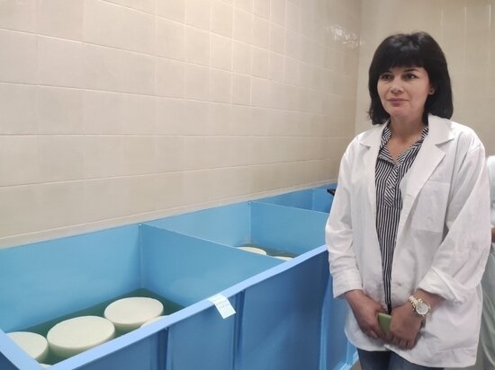     Замминистра сельского хозяйства РК Алиме Зарединова проинспектировала работу крымских сыроваров.