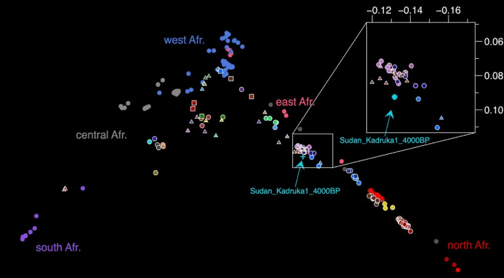   Ke Wang et al. / Scientific Reports, 2022