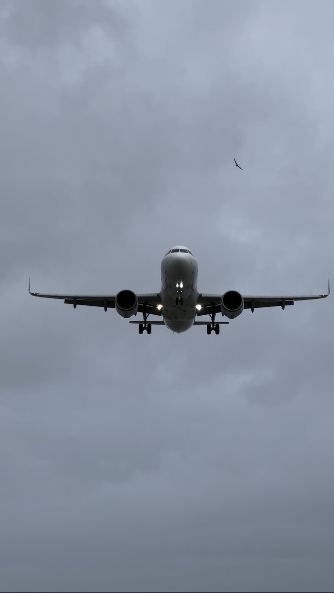 каждый, кто приехал в Батуми, должен это увидеть! 