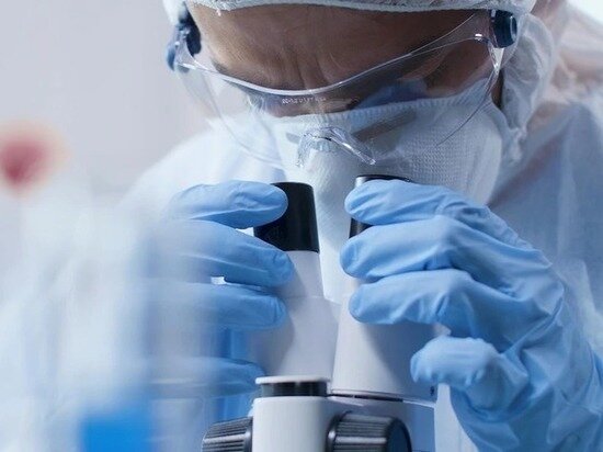     Фото: ru.freepik.com