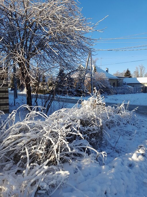 Нижний Новгород. Декабрь, 2022. 