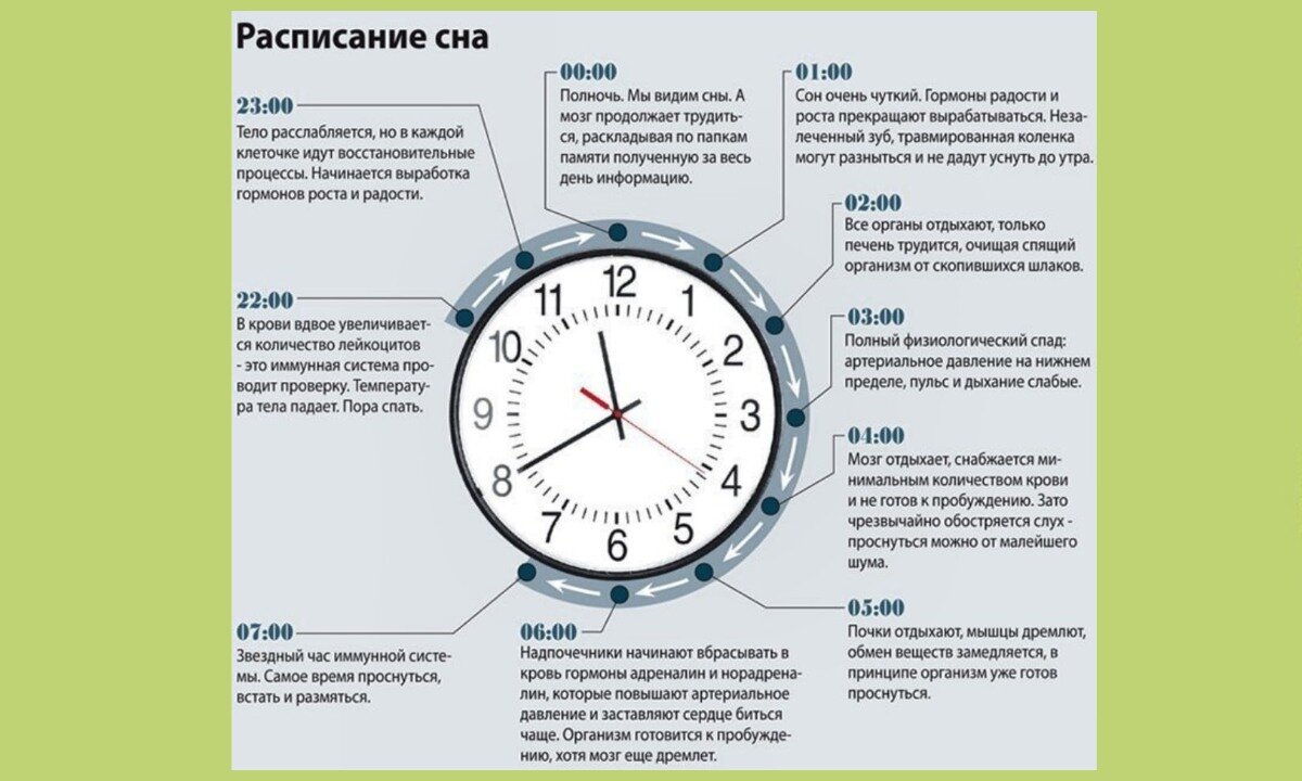 В какое время лучше поднять. Часы сна. Самые полезные часы для сна. Самые полезные часы СНК. Время сна.