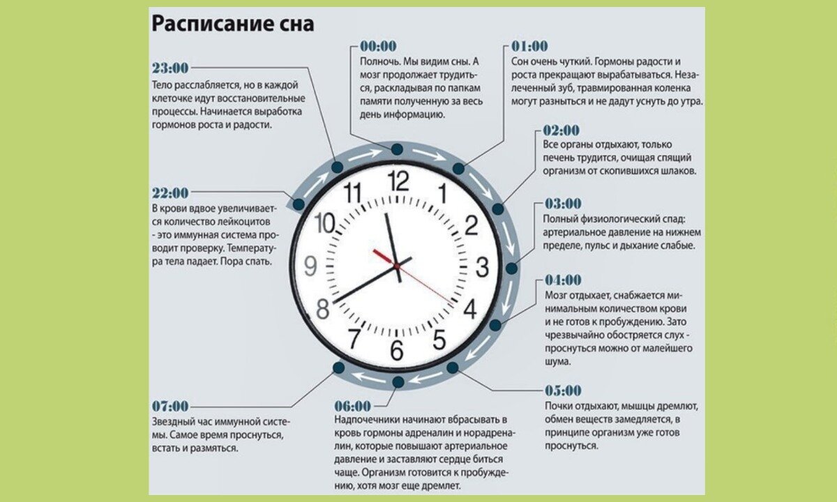 В какое время лучше поднять