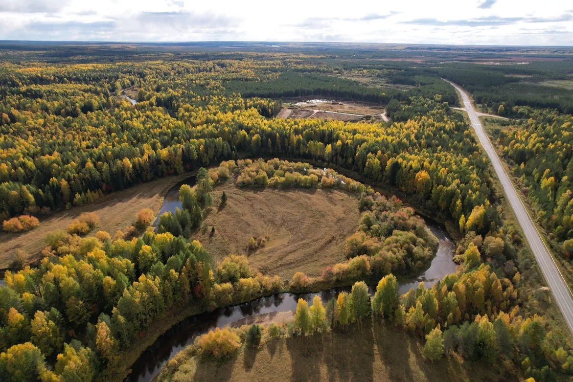 Фото: Р. Орест 