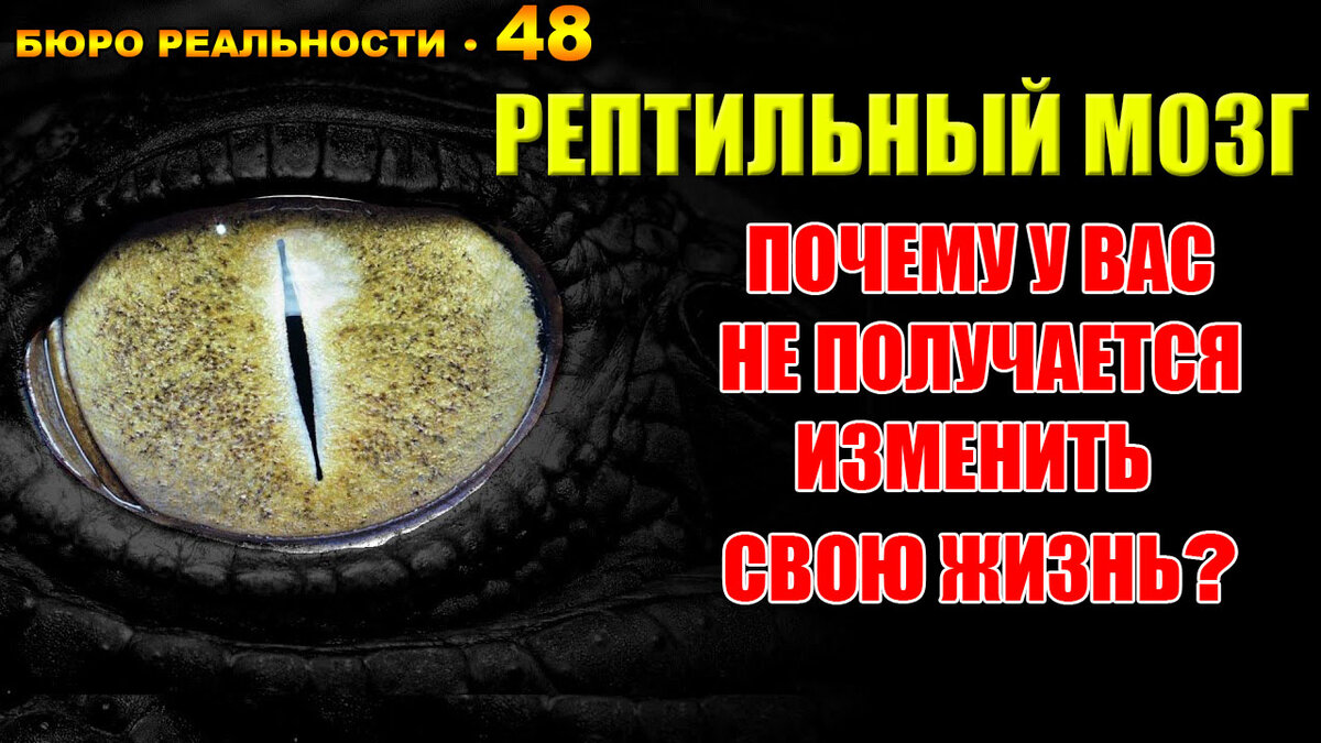 Рептильный мозг. Почему у Вас не получается изменить свою жизнь? Глава 48.  | Бюро реальности | Дзен