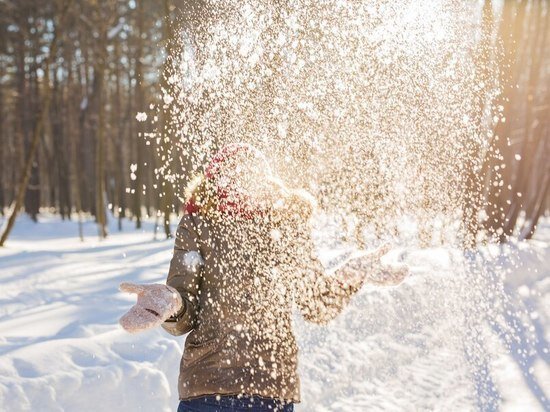     Фото: ru.freepik.com