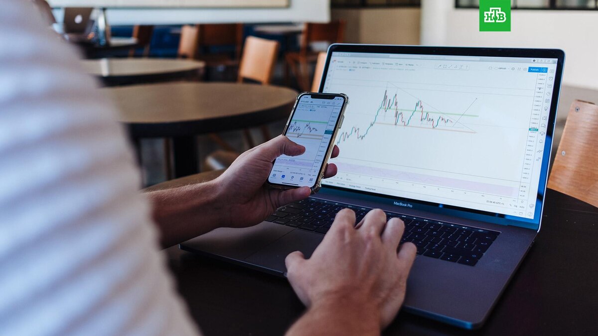    Фото: Jason Briscoe / Unsplash