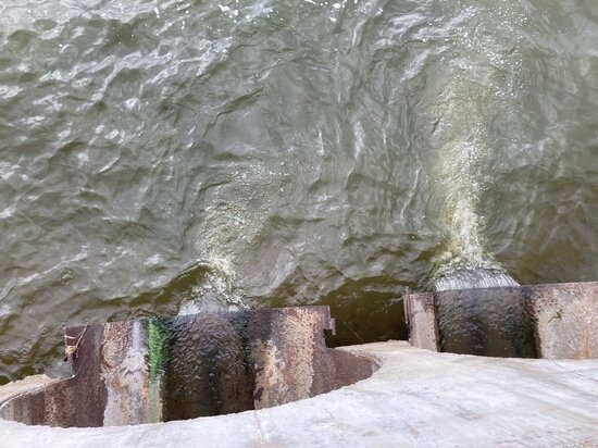     Стоки. Фото: saratov.mk.ru "МК в Саратове"